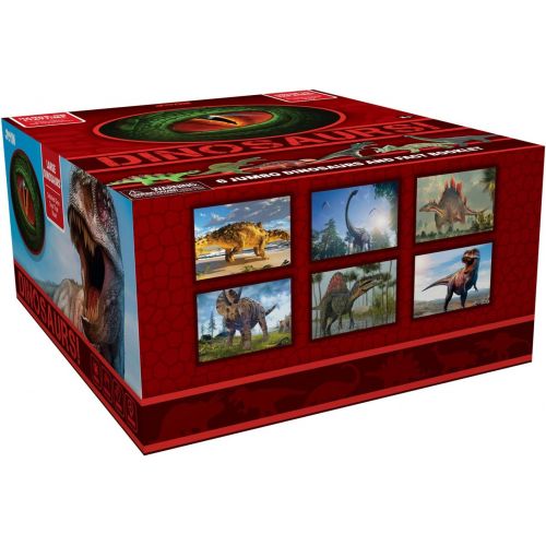  JOYIN 6 Pack 12’’ to 14’’ Educational Realistic Dinosaur Figures with Dinosaur Booklet