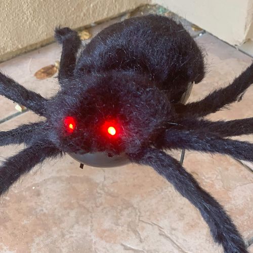  할로윈 용품JOYIN 60” Halloween Black Hairy Spider Outdoor Decorations, Scary Giant Spider Fake Large Spider with Sound and Vibration for Prop Decorations, Halloween Indoor, Outdoor, Yard and