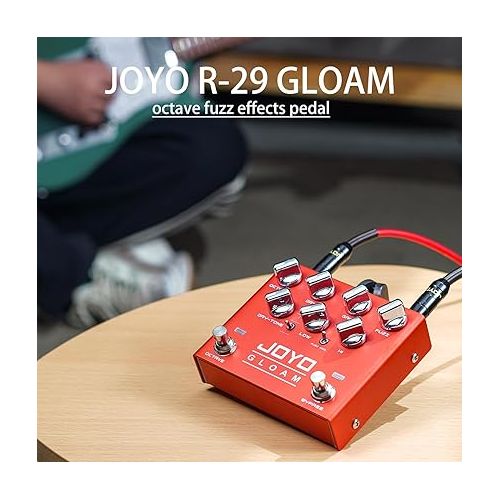  JOYO R-29 Bass High Gain Octave Fuzz Effect Pedal and JP-07 1200W AC Socket Wall Adapter Isolated DC Pedal Power Supply