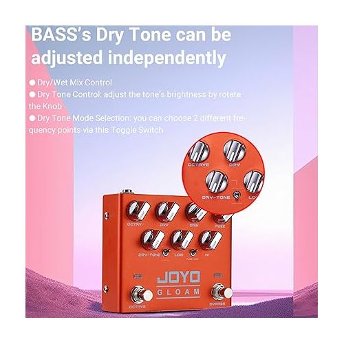  JOYO R-29 Bass High Gain Octave Fuzz Effect Pedal and JP-07 1200W AC Socket Wall Adapter Isolated DC Pedal Power Supply