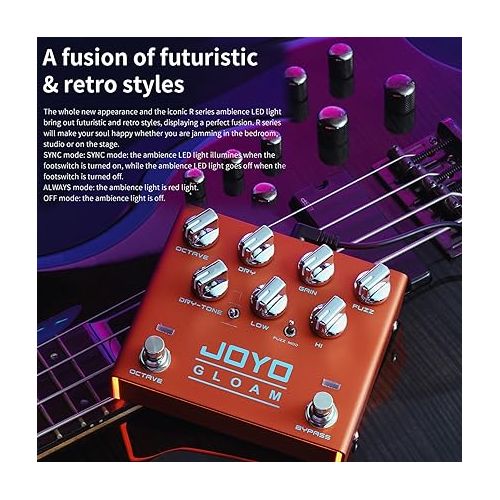  JOYO R-29 Bass High Gain Octave Fuzz Effect Pedal and JP-07 1200W AC Socket Wall Adapter Isolated DC Pedal Power Supply