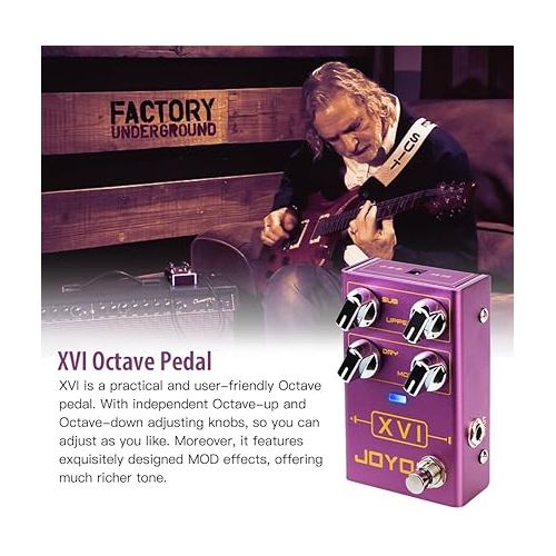  JOYO Octave Effect Pedal R Series with MOD Effects and Independent Octave Adjusting for Electric Guitar (XVI R-13)