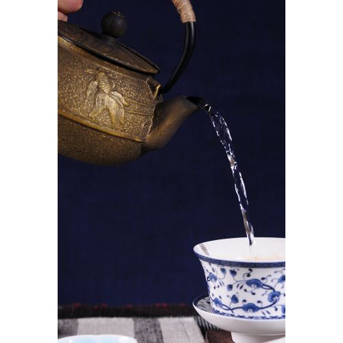  JUEQI Japanese Cast Iron Teapot Kettle with Stainless Steel Infuser/Strainer, Goldfish 27 Ounce (800 ml)