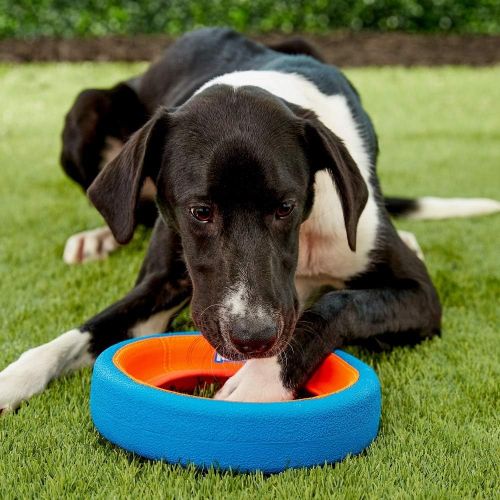  JW Pet Chuckit Fetch Wheel Toy for Dogs, Small