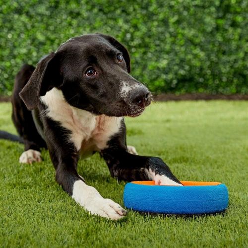  JW Pet Chuckit Fetch Wheel Toy for Dogs, Small