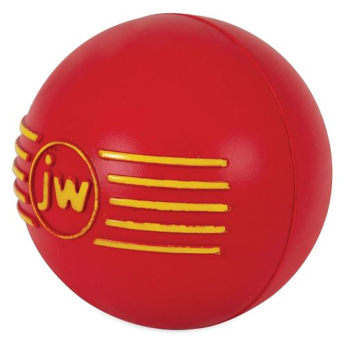  JW Pet Company iSqueak Ball Rubber Dog Toy, Colors Vary