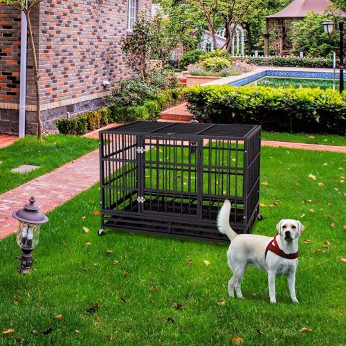  JY QAQA PET Heavy Duty Dog CageStrong Folding Metal Crate Kennel and Playpen for Medium and Large Dogs with Double Door, Two Prevent Escape Lock, Tray and Rolling Wheels (36” 42”