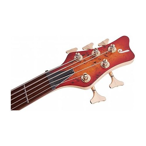  Jackson Pro Series 5-String Spectra Bass SBP V, Cherry Burst, Caramelized Jatoba Fingerboard