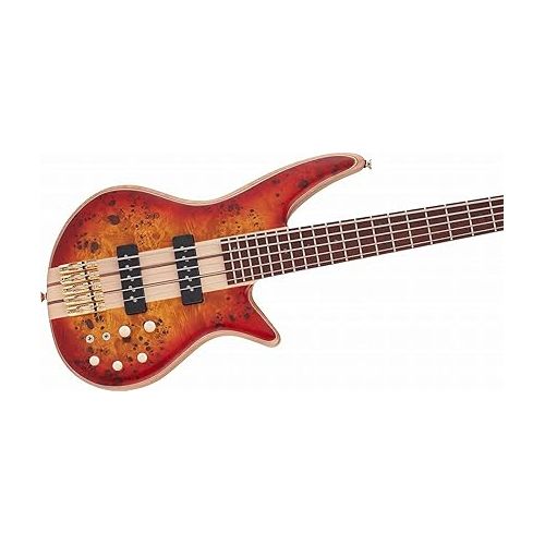  Jackson Pro Series 5-String Spectra Bass SBP V, Cherry Burst, Caramelized Jatoba Fingerboard