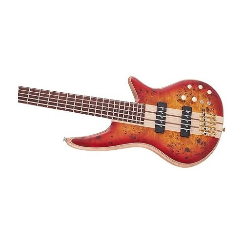  Jackson Pro Series 5-String Spectra Bass SBP V, Cherry Burst, Caramelized Jatoba Fingerboard