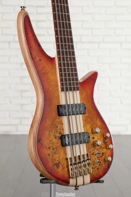  Jackson Pro Series Spectra Bass SB V Poplar Burl - Transparent Cherry Burst