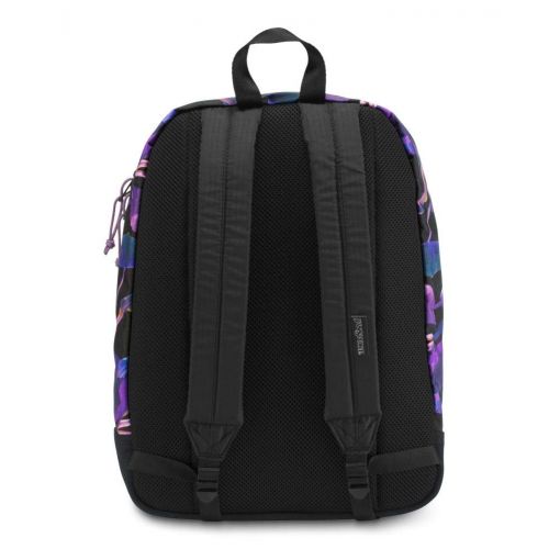  JanSport Super FX LS Backpack