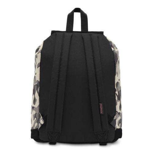  JanSport Haiden Backpack