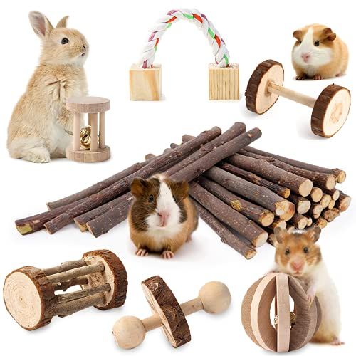  JanYoo Rat Chinchilla Toys Guinea Pig Accessories Bunny Chew Toys for Rabbits Hamster Gerbil