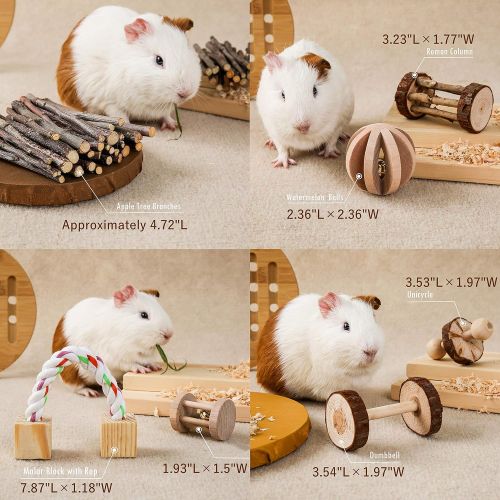  JanYoo Rat Chinchilla Toys Guinea Pig Accessories Bunny Chew Toys for Rabbits Hamster Gerbil