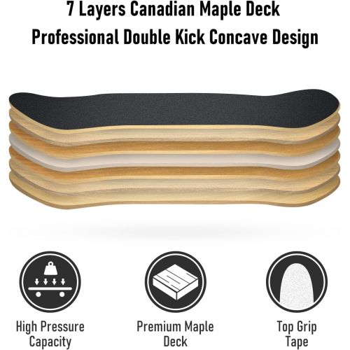  Jaoul Cruiser Skateboards for Beginners Complete Maple Skateboard 31 Inch for Girls Boys Youth Adults Kids Double Kick Standard Skateboard