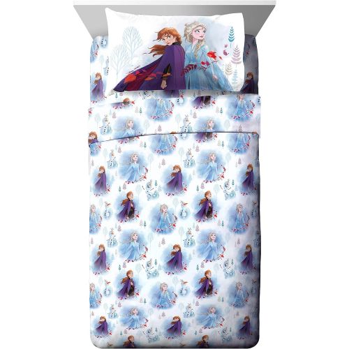  Jay Franco Frozen 2 Forest Spirit Bed Set, Twin