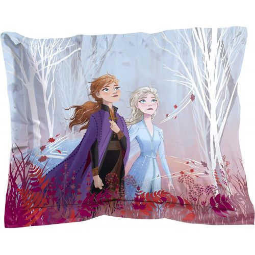  Jay Franco Disney Frozen 2 Forest Spirit Twin/Full Comforter & Sham Set, Mutli