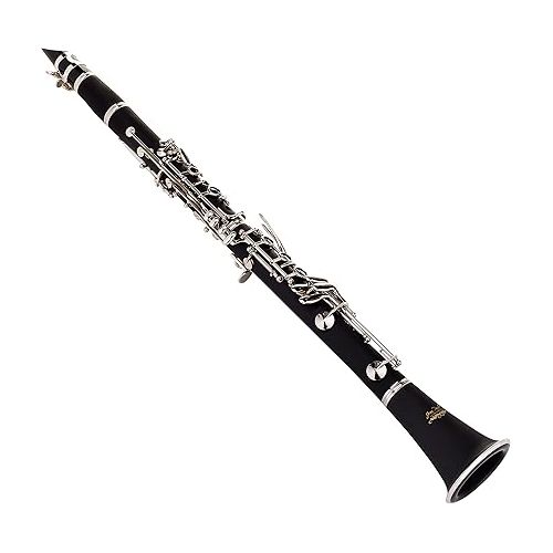  Jean Paul USA CL-300 Student Clarinet B Flat and Rico Bb Clarinet Reeds (2.5 Strength, 10-Pack)