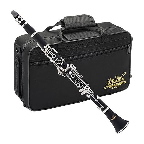  Jean Paul USA CL-300 Student Clarinet B Flat and Rico Bb Clarinet Reeds (2.5 Strength, 10-Pack)