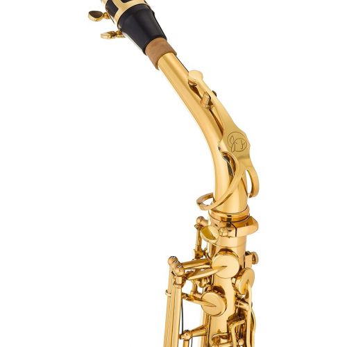  Jean Paul AS-400 Alto Saxophone + Rico Alto Sax Reeds