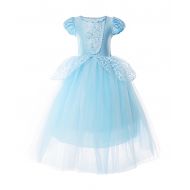 JerrisApparel Girls Cinderella Princess Costume Puff Sleeve Fancy Party Dress up