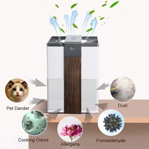  Jese Air Purifier for Bedroom,Desk Air Purifier with 3-in-1 True HEPA Filter, Air Purifiers for Allergies and Pets,Eliminate Formaldehyde, Dust & Smoke,Small Air Purifier Quiet