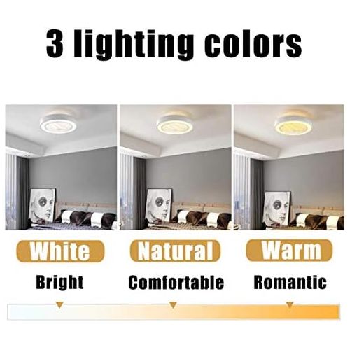  [아마존베스트]Jinweite Ceiling Fan with Light, 22 inches LED Remote Control Fully Dimmable Lighting Modes Invisible Acrylic Blades Metal Shell Semi Flush Mount Low Profile Fan,Black