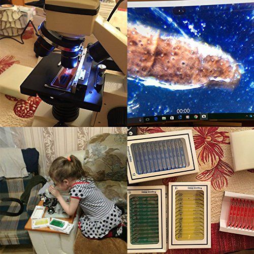  [아마존베스트]Jiusion 48 pieces prepared microscope slides sample animals insects plants flowers sample biological sample stereo microscope film for children students enlightening education