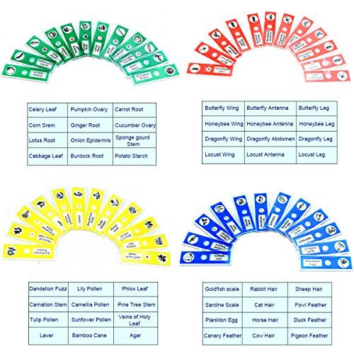  [아마존베스트]Jiusion 48 pieces prepared microscope slides sample animals insects plants flowers sample biological sample stereo microscope film for children students enlightening education