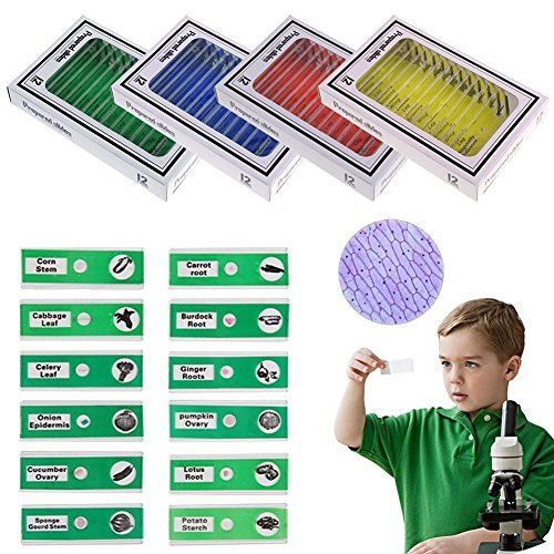  [아마존베스트]Jiusion 48 pieces prepared microscope slides sample animals insects plants flowers sample biological sample stereo microscope film for children students enlightening education