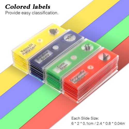  [아마존베스트]Jiusion 48 pieces prepared microscope slides sample animals insects plants flowers sample biological sample stereo microscope film for children students enlightening education