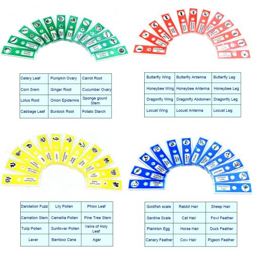  [아마존베스트]Jiusion 48 pieces prepared microscope slides sample animals insects plants flowers sample biological sample stereo microscope film for children students enlightening education