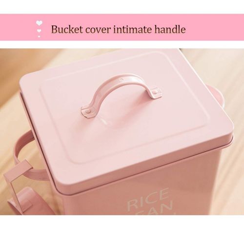 Jlxl Metal Pet Storage Bucket， Seal Dog Dry Feed Storage Bin Cat Kitchen Grains Container with Spoon (Color : B, Size : 3kg)