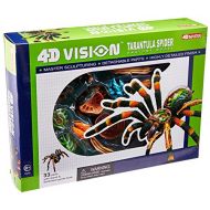 John N. Hansen 4D: Tarantula Spider Anatomy Model