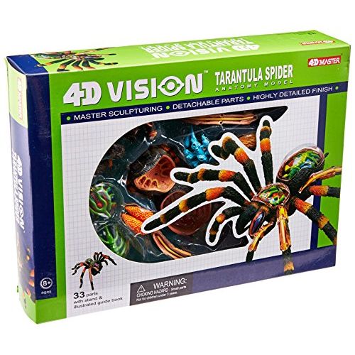  John N. Hansen 4D: Tarantula Spider Anatomy Model