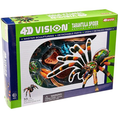  John N. Hansen 4D: Tarantula Spider Anatomy Model