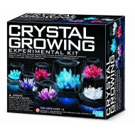 Johnco Productions Great Gizmos 4M Crystal Growing Experiment Kit