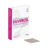 Systagenix Wound Management 53800202 Silvercel Antimicrobial Alginate Dressing 2 X 2,Systagenix Wound Management - Carton 10