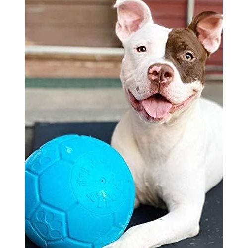  Jolly Pets Large Soccer Ball Floating-Bouncing Dog Toy, 8 inch Diameter, Ocean Blue