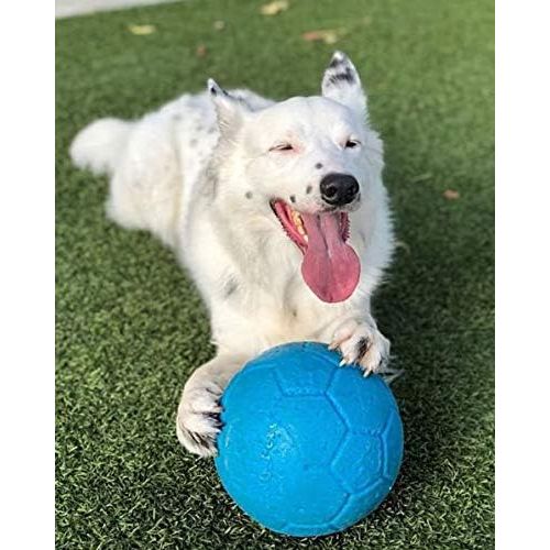 Jolly Pets Large Soccer Ball Floating-Bouncing Dog Toy, 8 inch Diameter, Ocean Blue