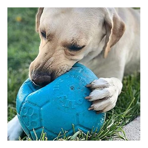  Jolly Pets Large Soccer Ball Floating-Bouncing Dog Toy, 8 inch Diameter, Ocean Blue