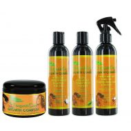 Jorganiccare JOrganic Solutions Kids Healthy Hair Kit. shampoo, conditioner leave-in, pomade