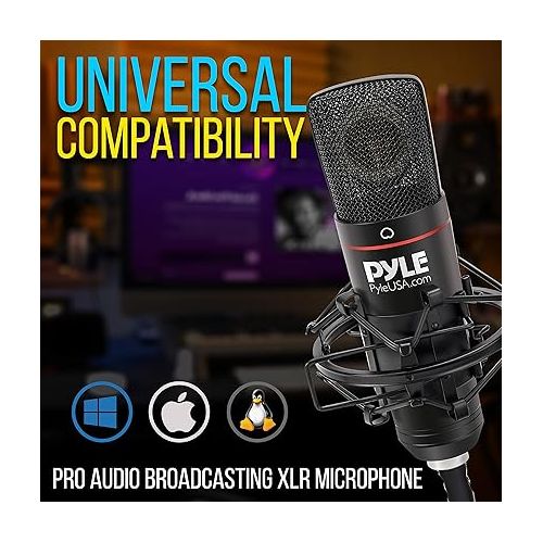  XLR Computer Microphone Kit - Audio Cardioid Condenser Studio Mic w/ 34mm Membrane Capsule, Desktop Stand, Shock Mount, Travel Case, Pop Filter, For Gaming Streaming Recording Podcasting Youtube