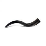 Judaica Mega Mall KOSHER ODORLESS POLISHED YEMENITE SHOFAR | Natural Kudu Horn | Smooth Mouthpiece for Easy Blowing | Includes Carrying Bag, Odor Spray and Shofar Blowing Guide (18 - 20)