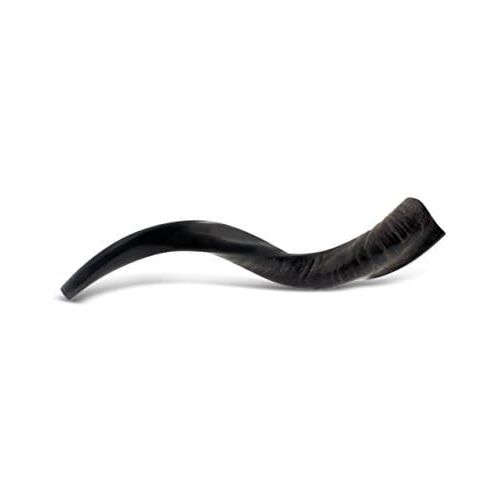  Judaica Mega Mall KOSHER ODORLESS POLISHED YEMENITE SHOFAR | Natural Kudu Horn | Smooth Mouthpiece for Easy Blowing | Includes Carrying Bag, Odor Spray and Shofar Blowing Guide (18 - 20)