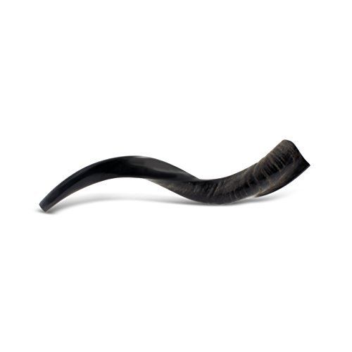  Judaica Mega Mall KOSHER ODORLESS POLISHED YEMENITE SHOFAR | Natural Kudu Horn | Smooth Mouthpiece for Easy Blowing | Includes Carrying Bag, Odor Spray and Shofar Blowing Guide (18 - 20)