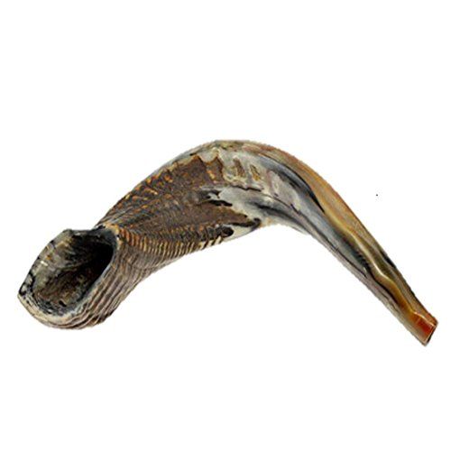  Judaica Mega Mall Shofar BB (8415358146)