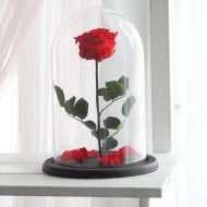 /JulianasDesign Beauty and the beast rose (Large - Red) - Forever rose, Enchanted Rose, Rose in glass dome, Preserved rose, Eternal rose