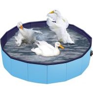 Juome Foldable Duck Swimming Pool, Portable Pond Pool for Ducks, Collapsible Hard Plastic Swimming Pool for Pets Dogs and Cats for Indoor and Outdoor